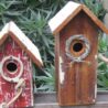 Lessons From Building Birdhouses