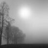 The Mystery of Fog